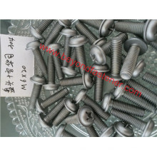 Pan Washer Screw Ruspert Screw Machine Screw